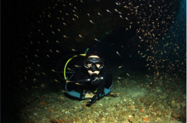 Night Diving