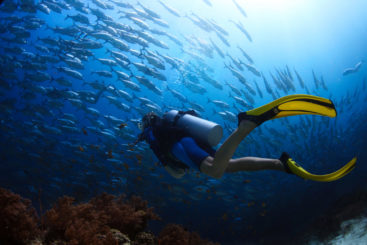 Diving
